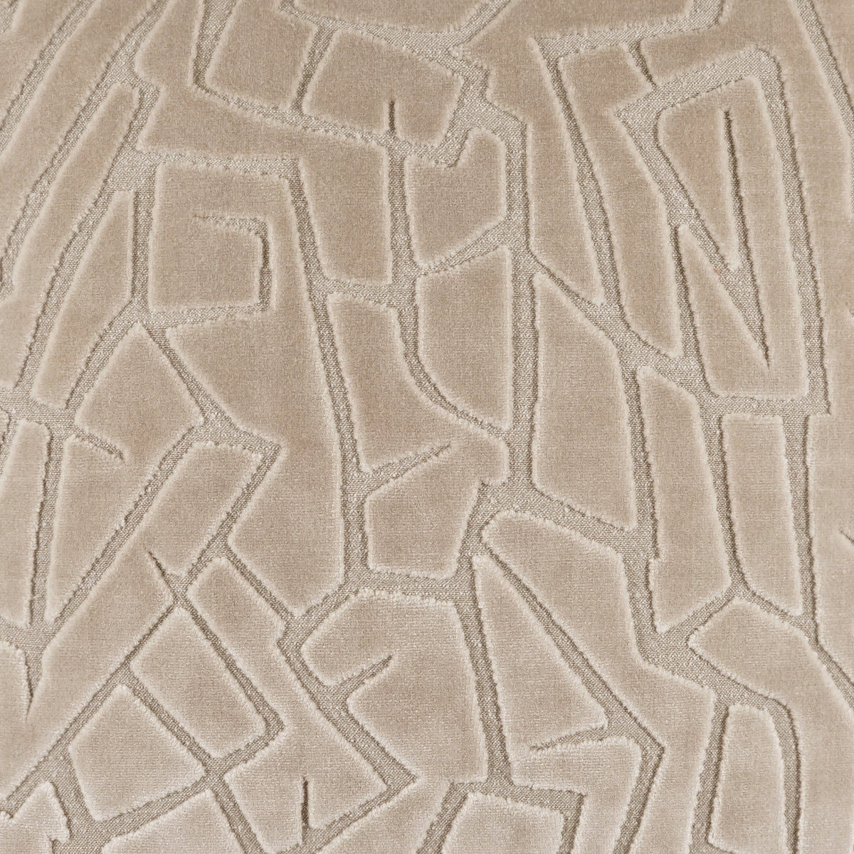 Cellini Swatch / Alabaster