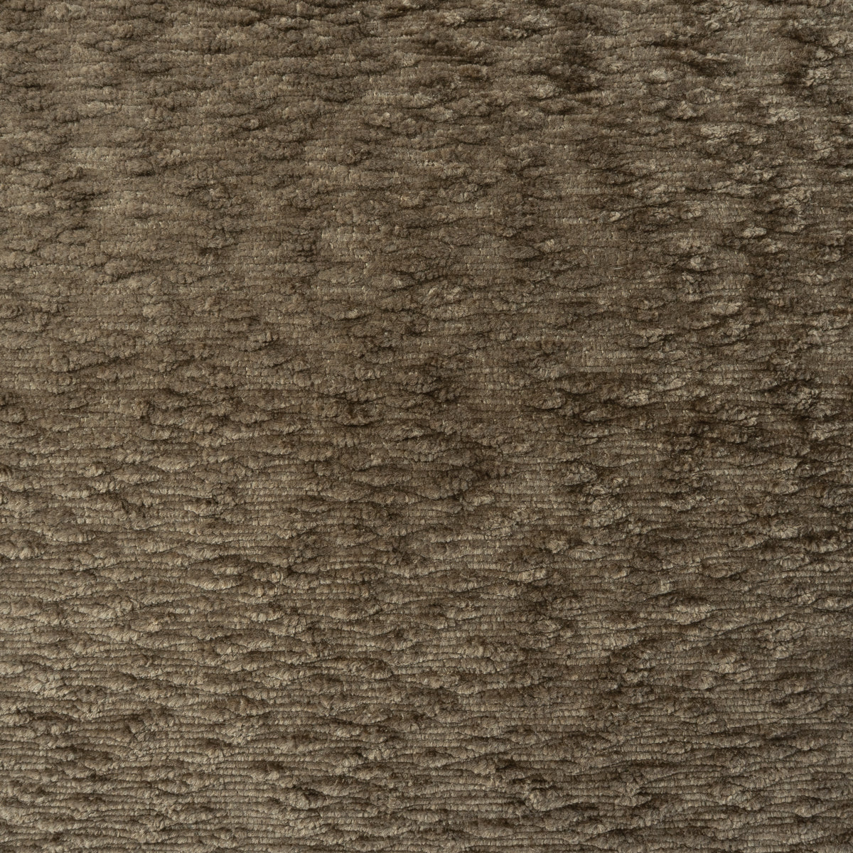 Claude Swatch / Otter