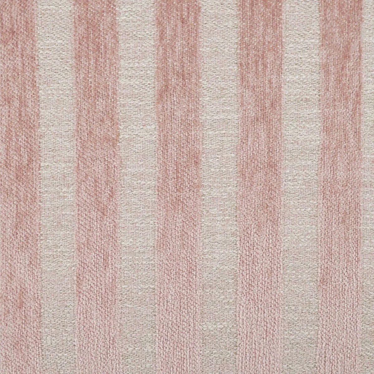 Divine Stripe Swatch / Blush
