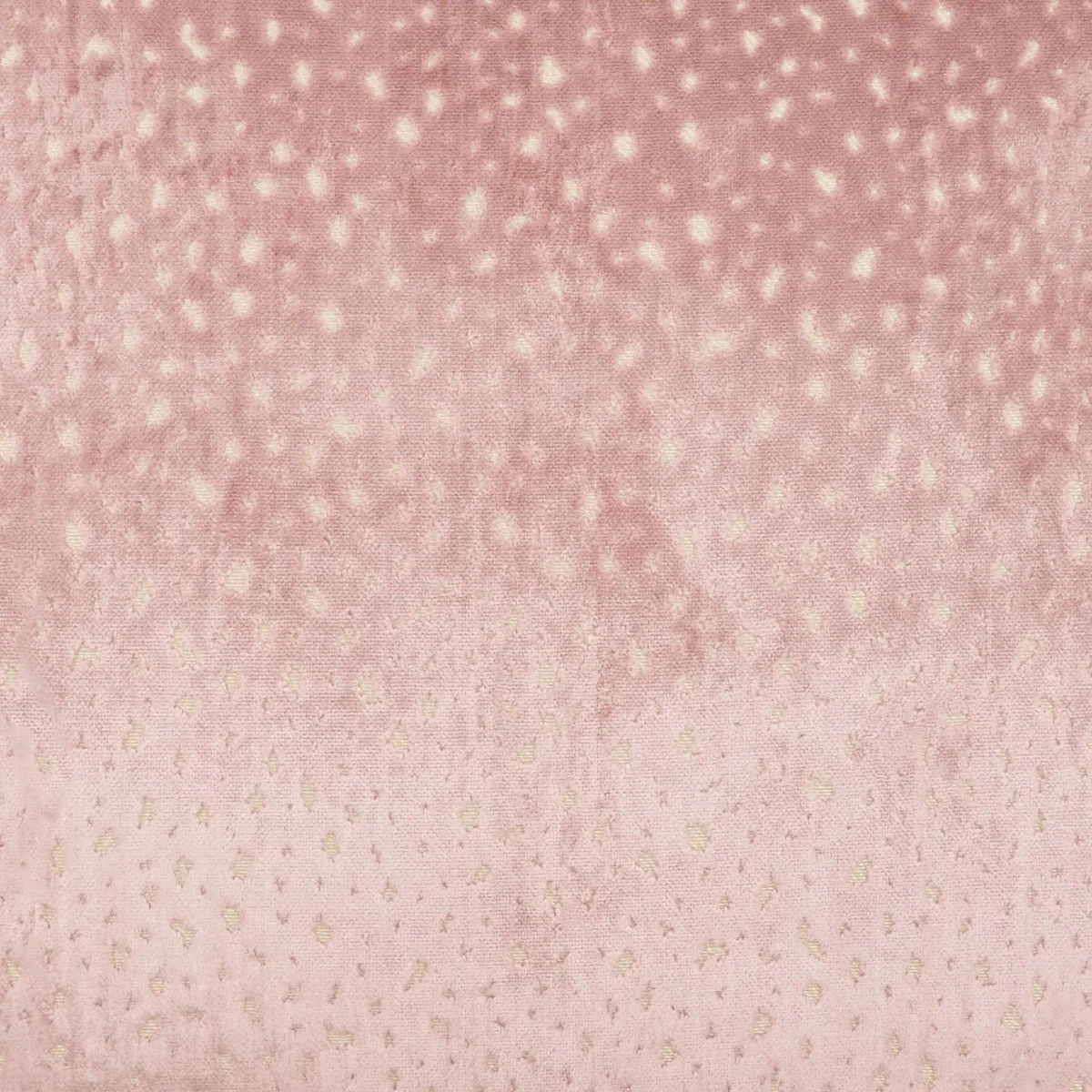 Elizabeth Swatch / Gumdrop