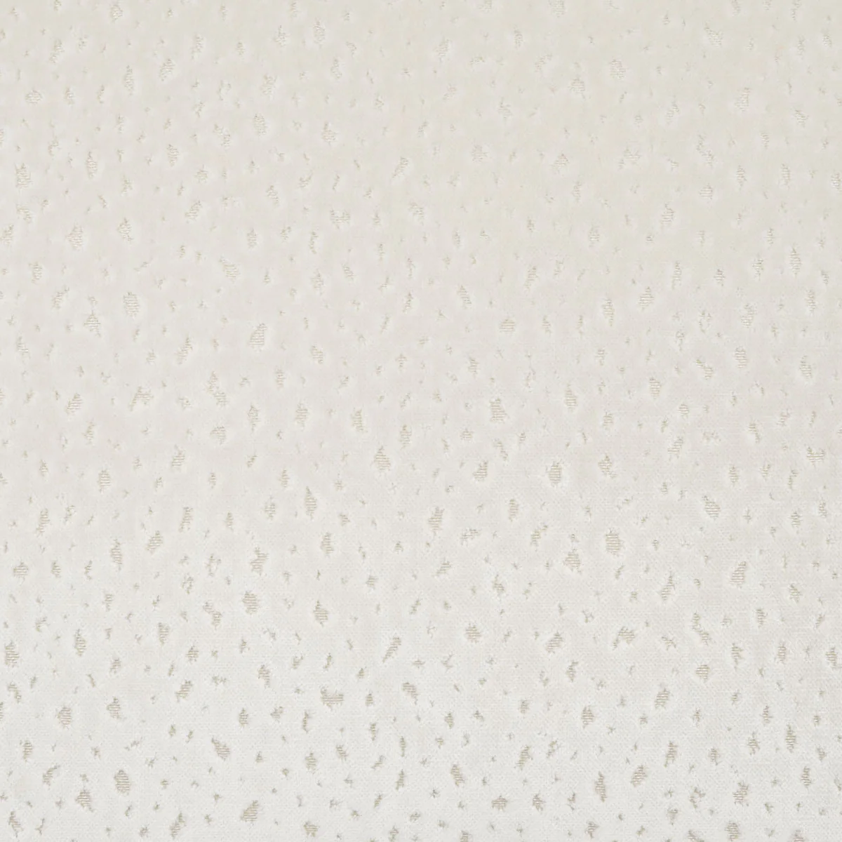 Elizabeth Swatch / Pearl