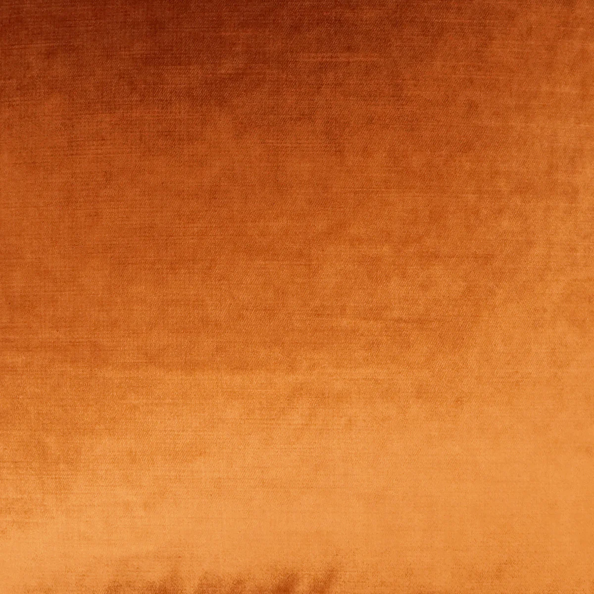 Fancy-Pants Swatch / Marmalade