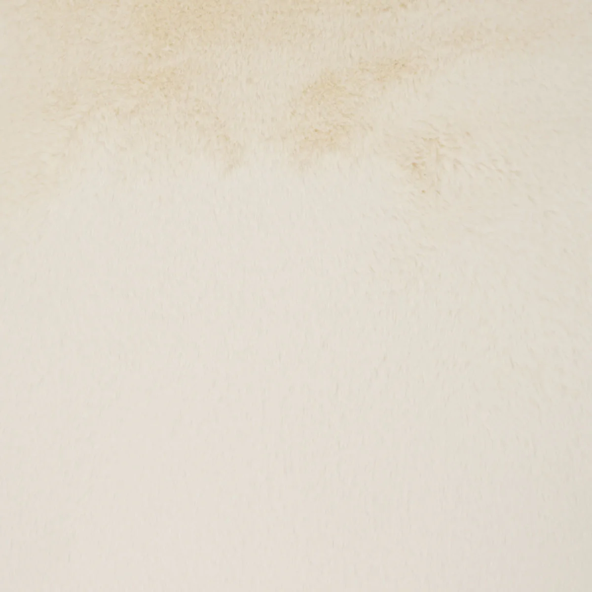 Furever Swatch / Ivory