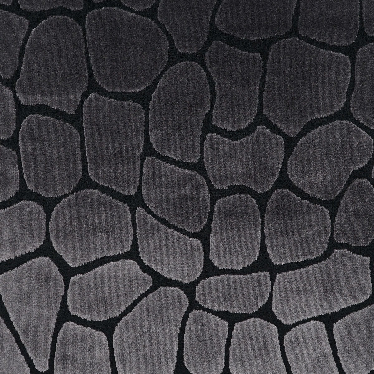 Giraffa Swatch / Anthracite