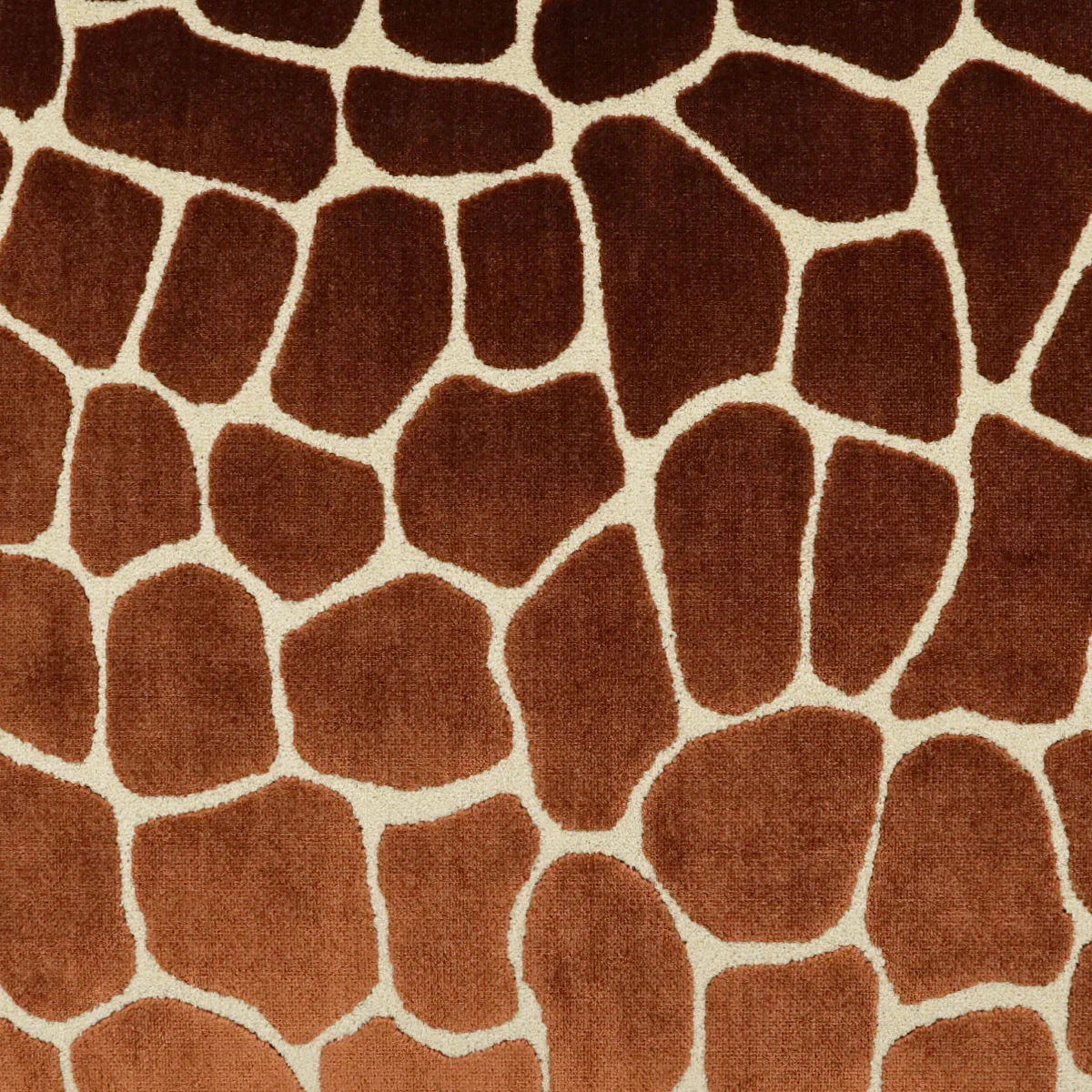 Giraffa Swatch / Bronze