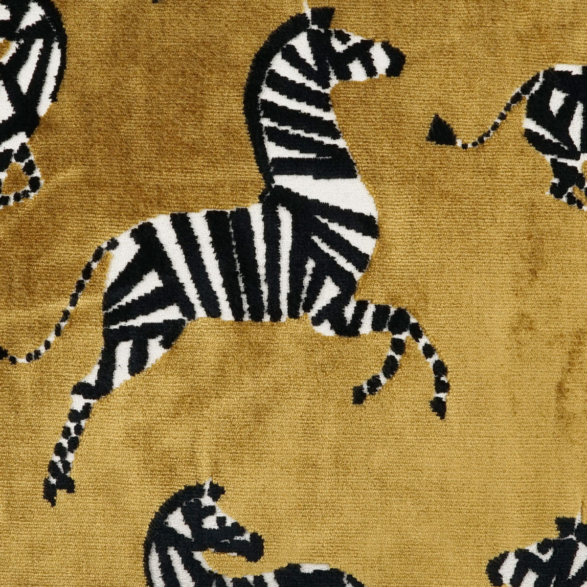 Herd Swatch / Amber