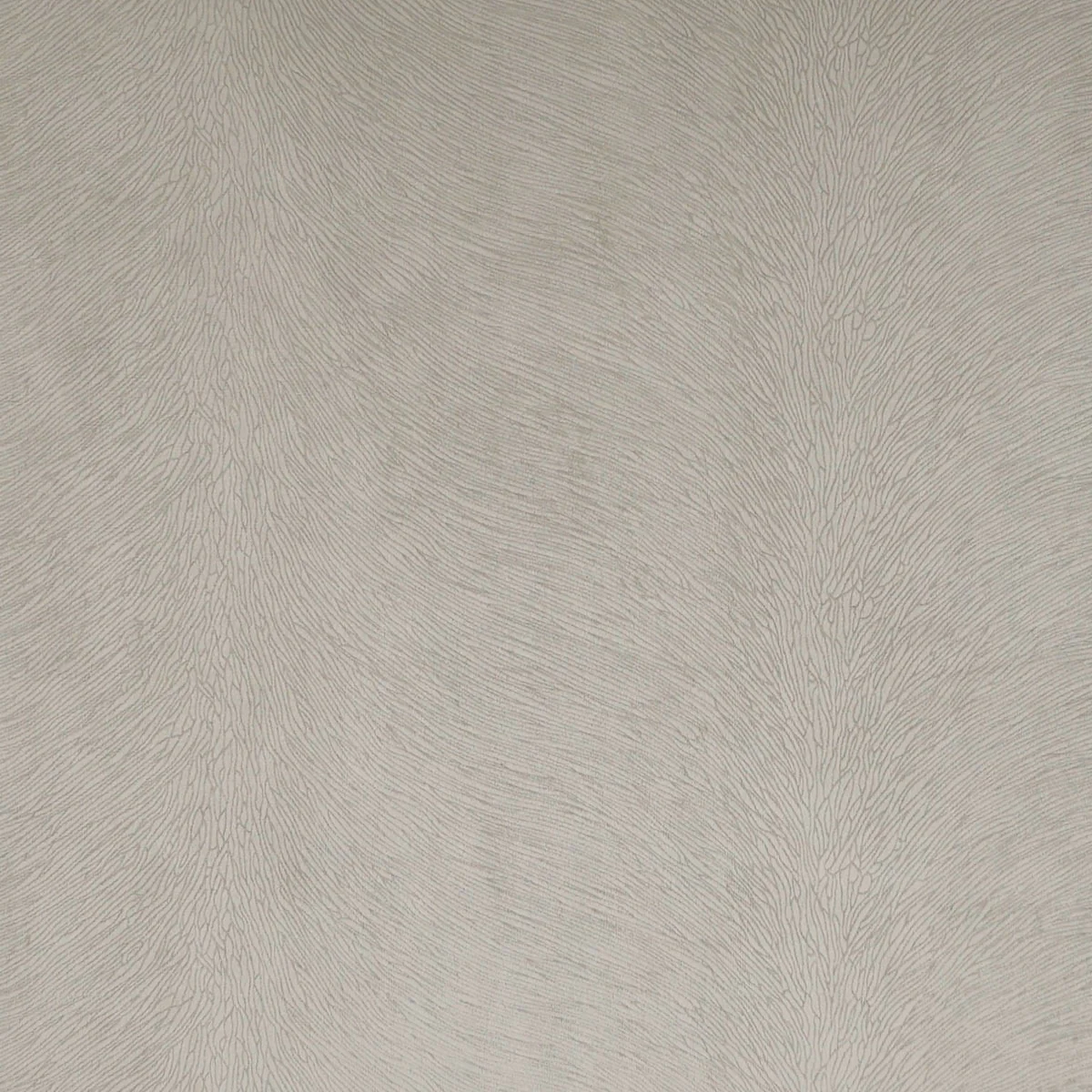 Horsehair Swatch / Ecru