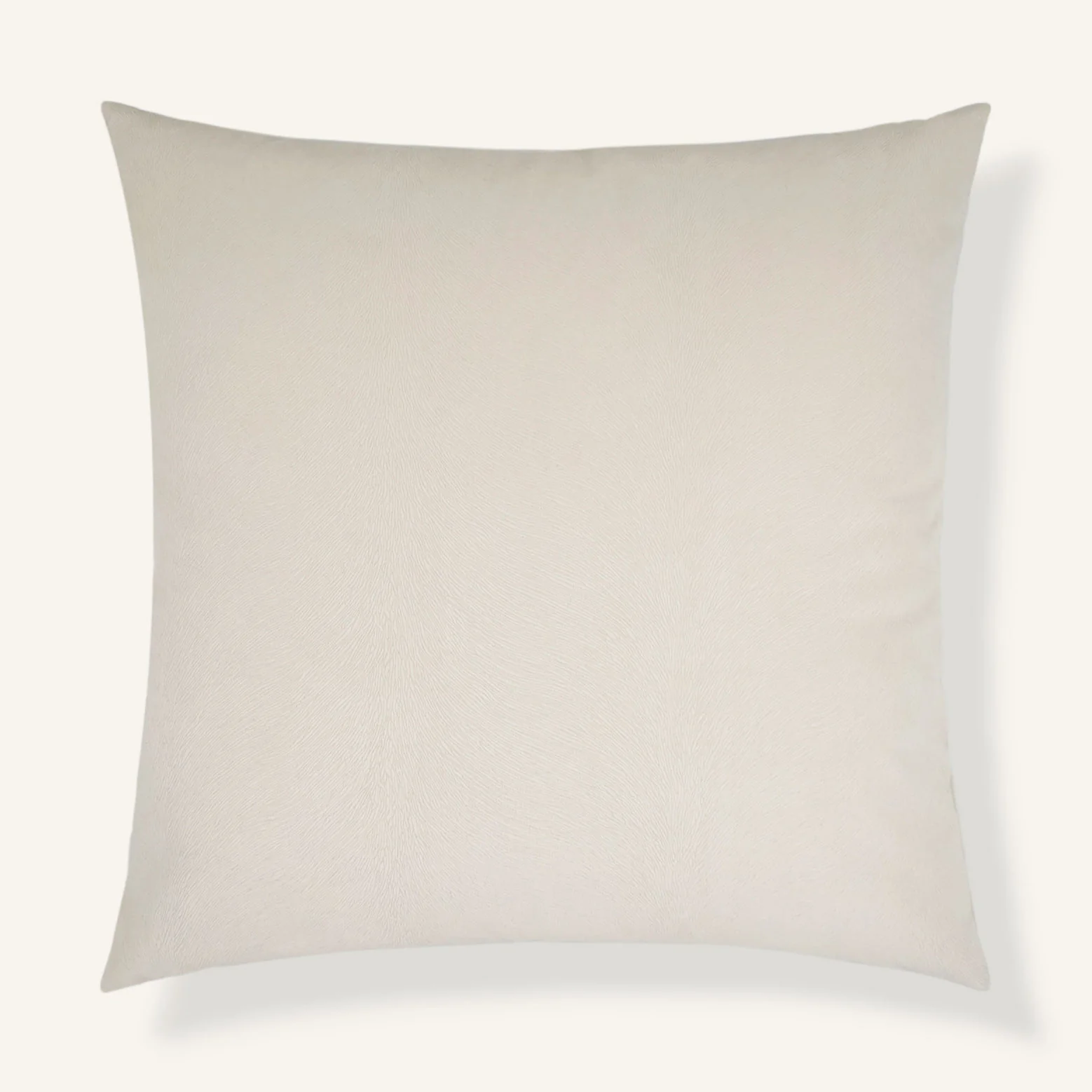 Horsehair / Ivory
