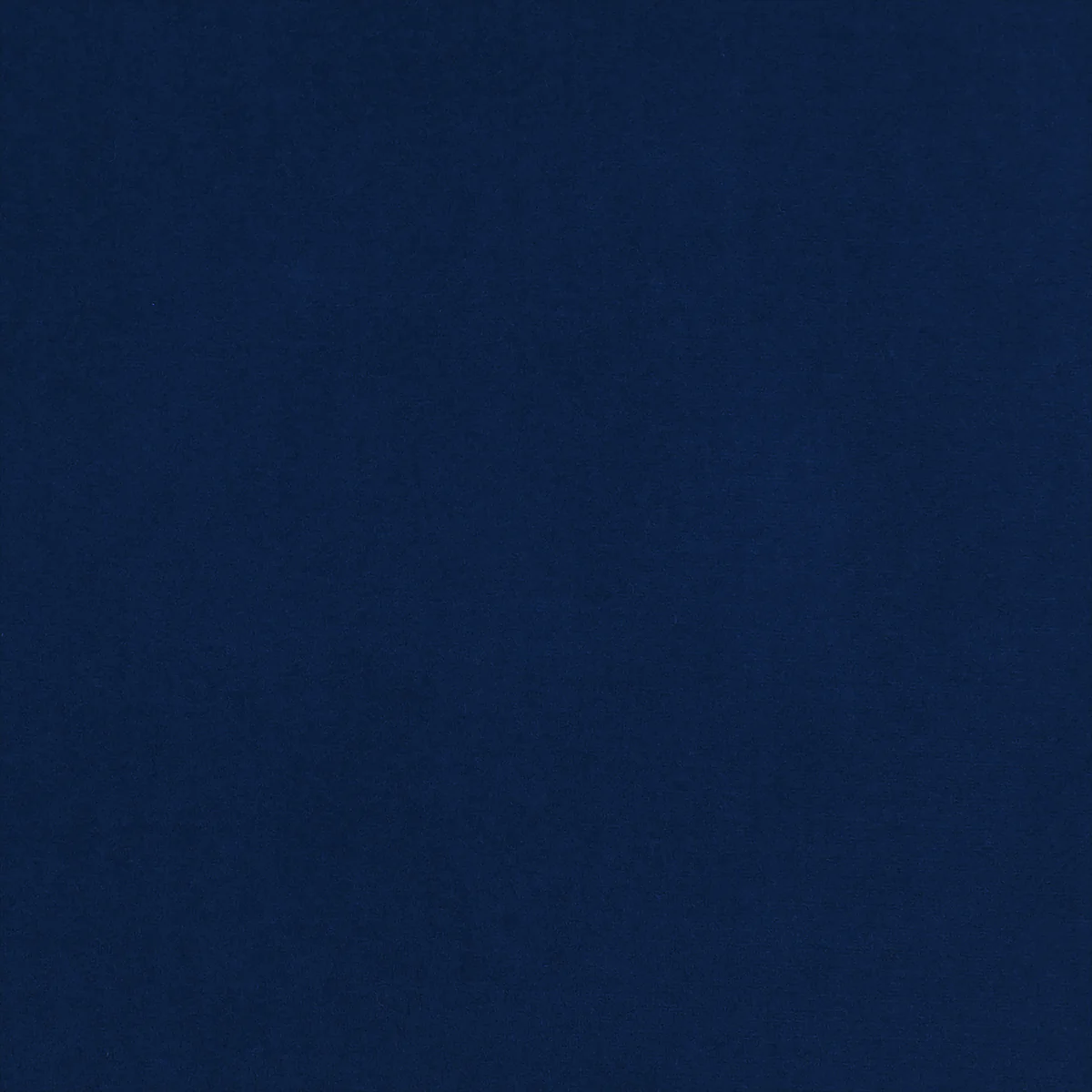 Luna Swatch / Midnight