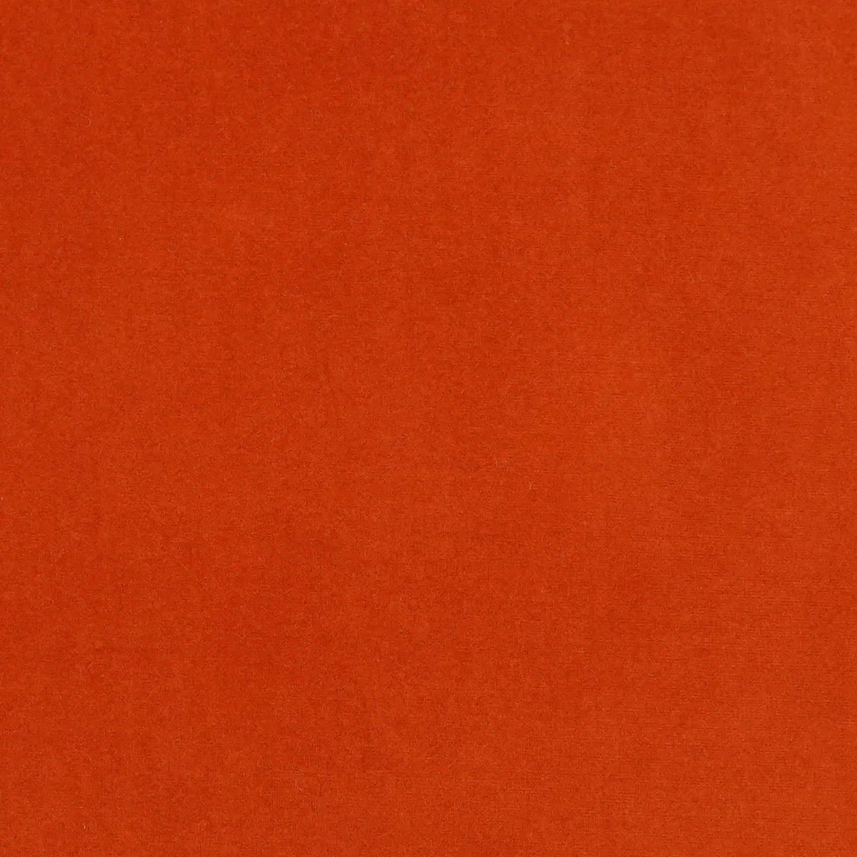 Luna Swatch / Oriole