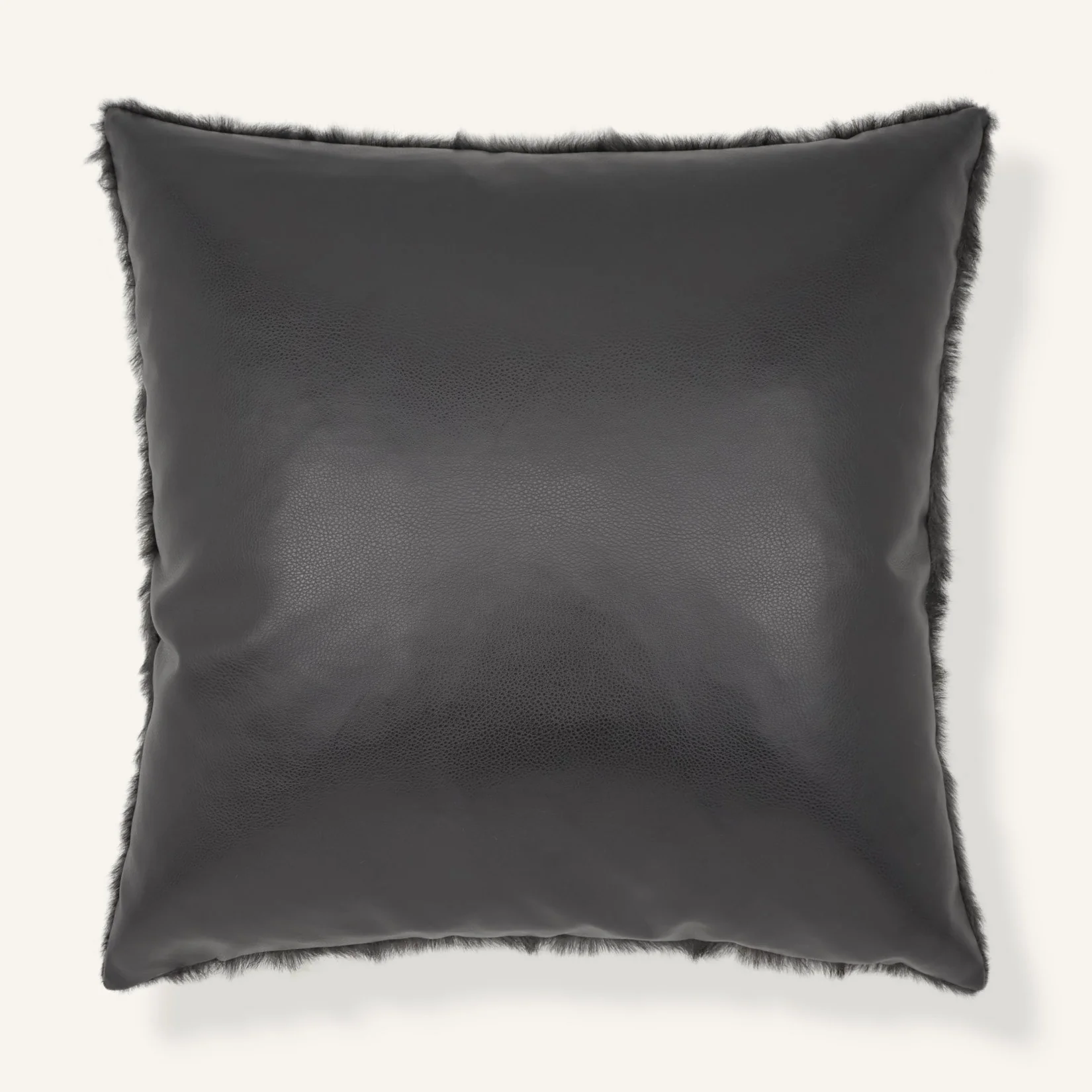Pelliccia / Ebony - Image 2
