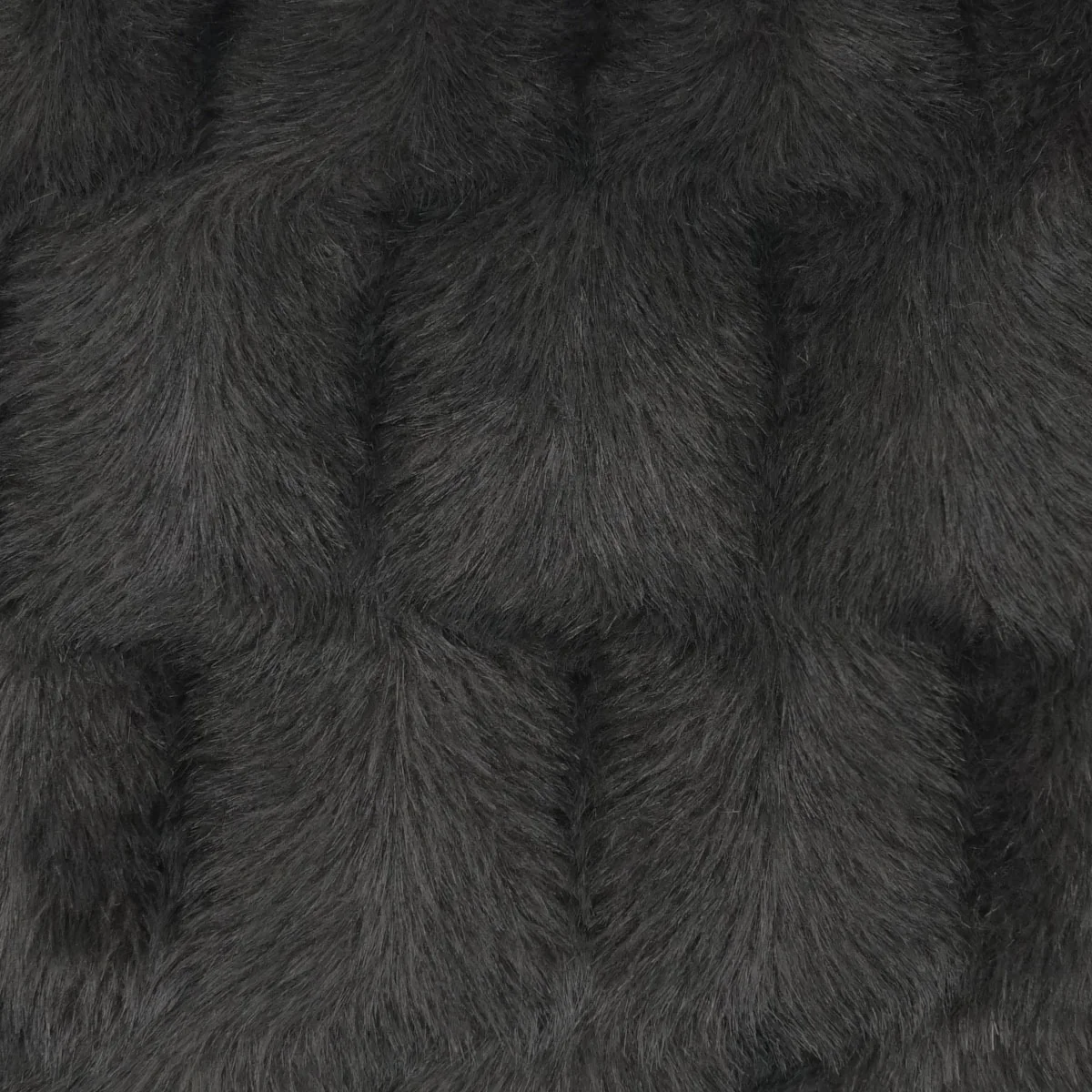 Pelliccia Swatch / Ebony