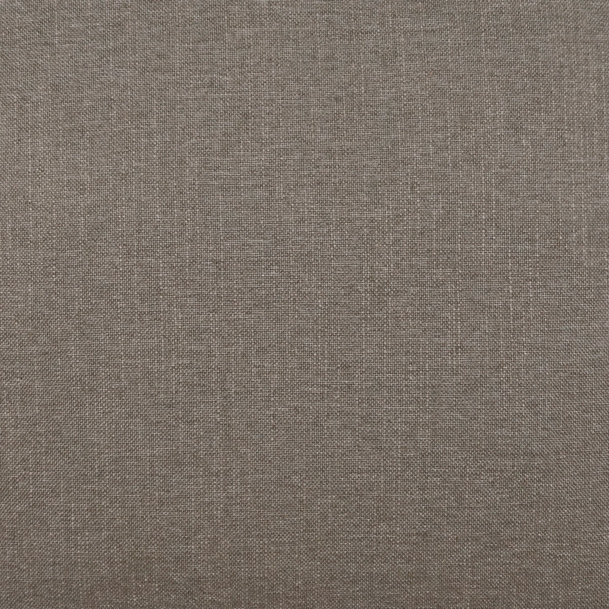Pelosa Swatch / Ash