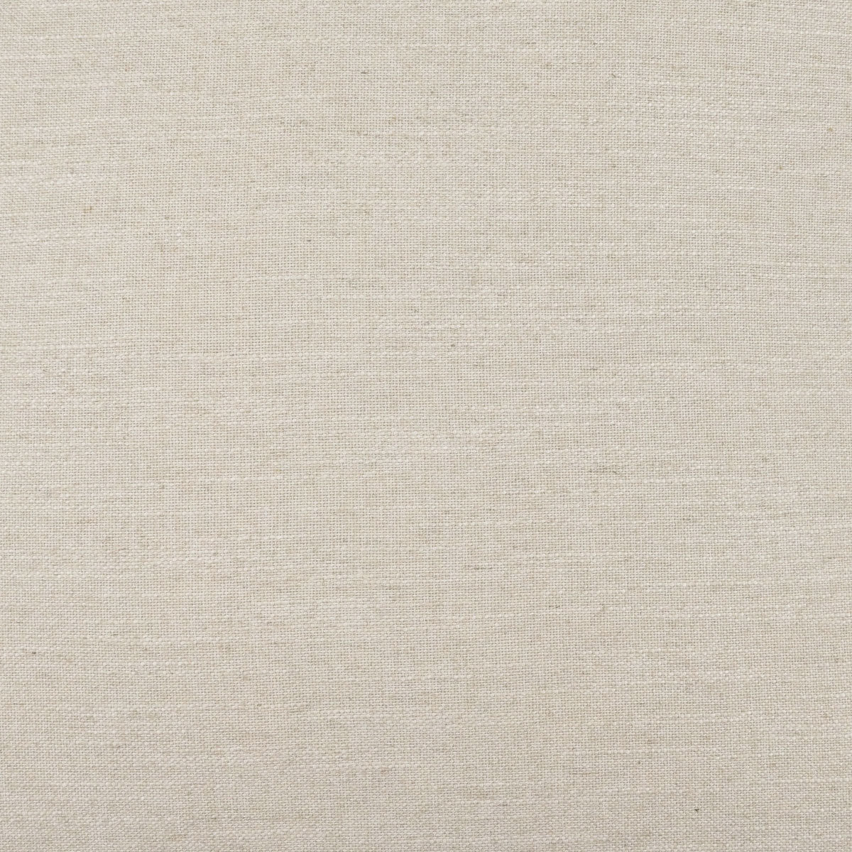 Pelosa Swatch / Domino