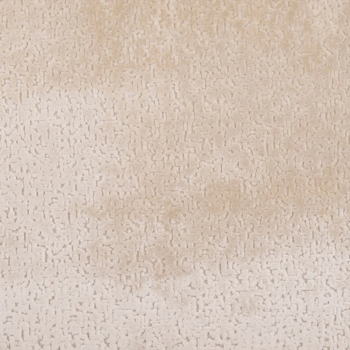 Penthouse Swatch / Champagne