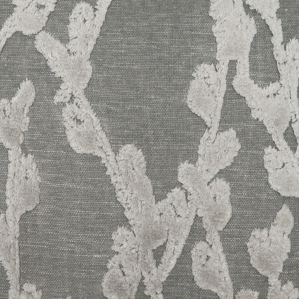 Reef Swatch / Grey