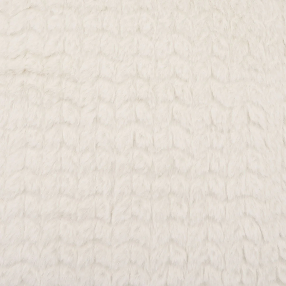 Sweet Dreams Swatch / Cream