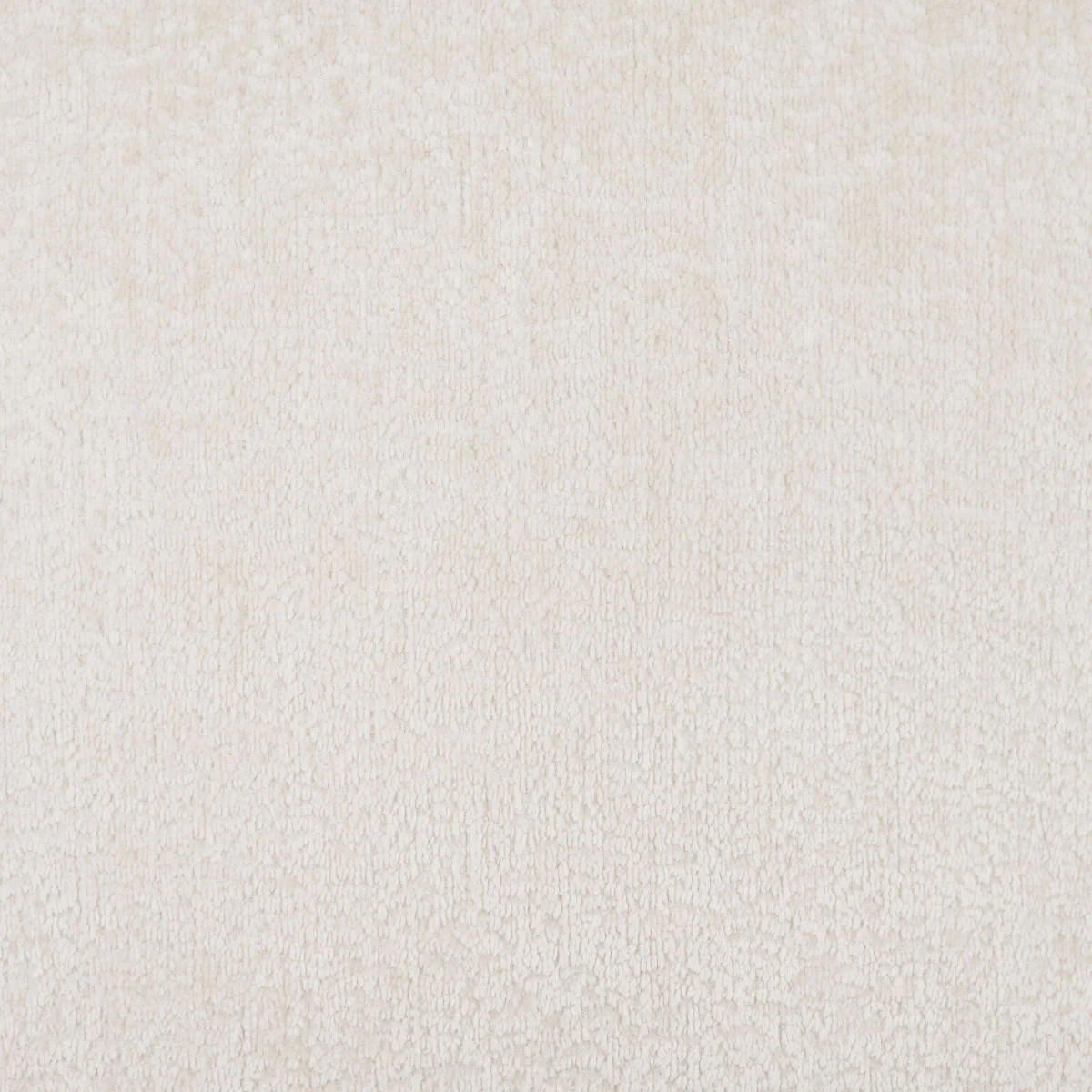 Teddy Swatch / Porcelain