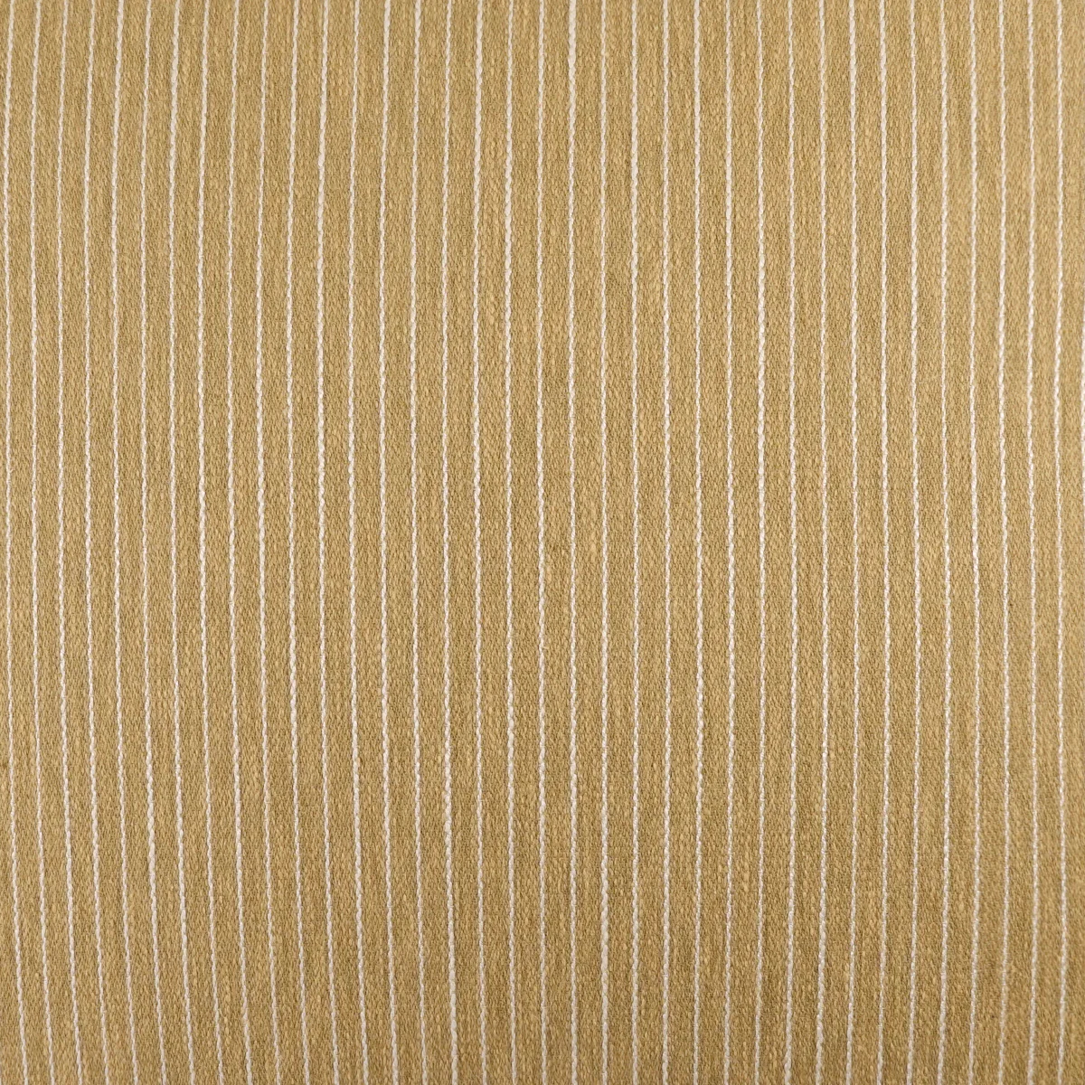 Tully Swatch / Dijon