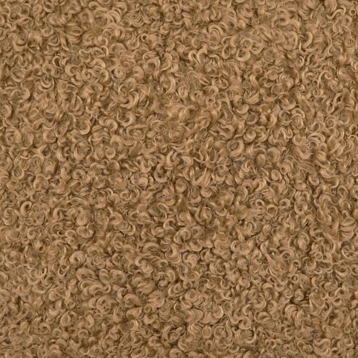 Whirly Swatch / Camel