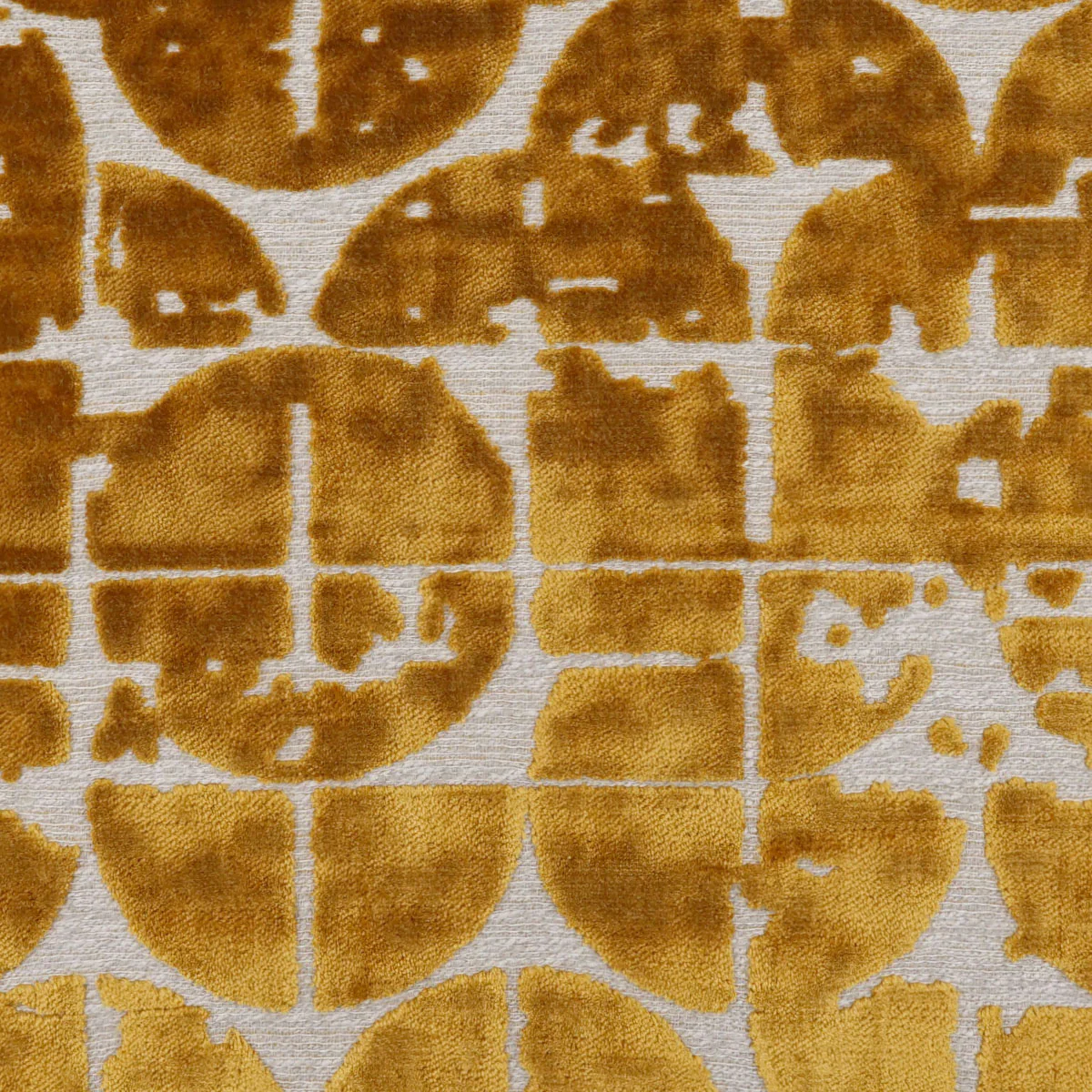 Worldly Swatch / Goldenrod